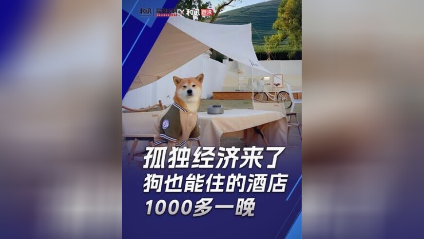 10位院士相聚四川巴中,新管家婆免费资料网站,公开决策资料解释落实_至尊版V10.78